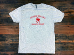Triblend T-Shirt - Women's (Ash/White)
